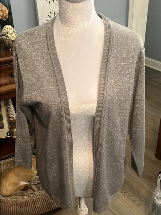 Noelle Sweaters - Noelle Shimmery Gray Open-Front Cardigan